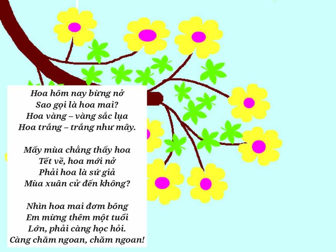 Thơ Ngắn Về Hoa Mai Gallery 1