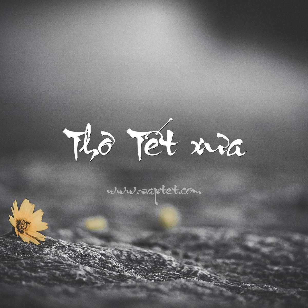 Thơ Tết Hay - Tuyển Tập Thơ Xuân Đón Tết Nguyên Đán Gallery 1