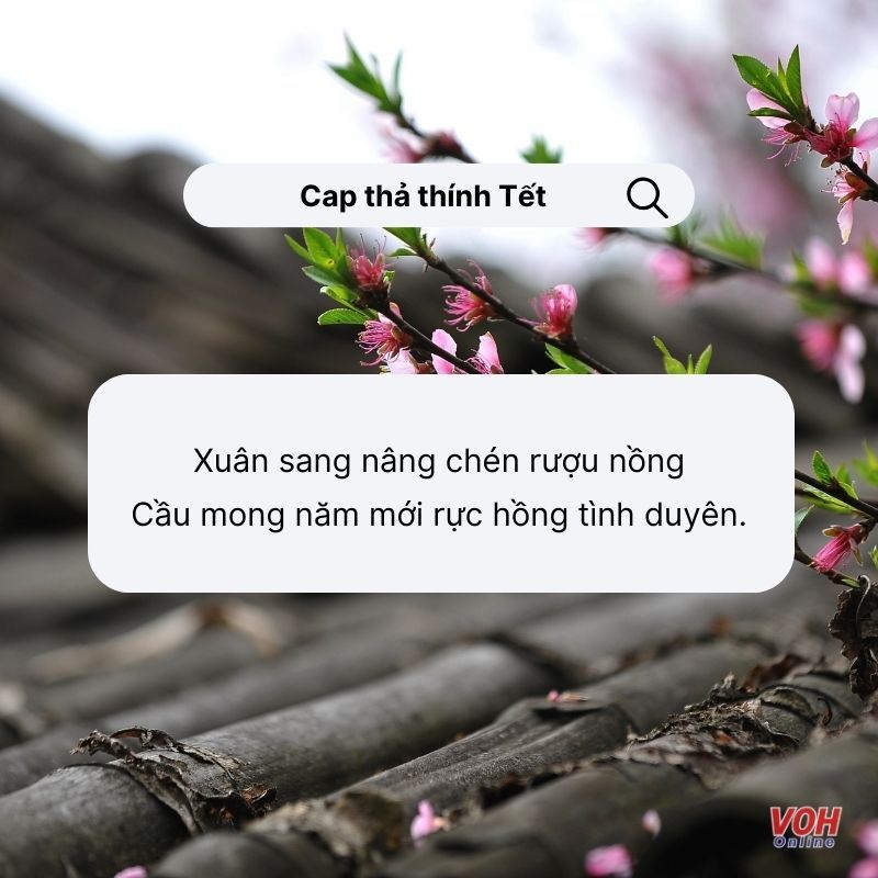 Thả Thính Ngày Tết Bằng Thơ - Gây Mê Liệt Lòng Người Yêu Gallery 1