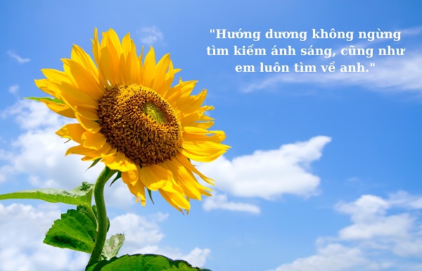 Thơ Thả Thính Về Hoa: Những Vần Thơ Ngọt Ngào Dành Cho Người Ấy Gallery 1