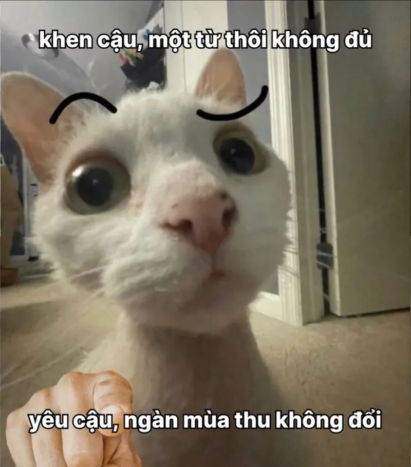 Thơ Thả Thính Về Mèo: Những Câu Thơ Ngọt Ngào Dành Cho "Boss" Mèo Cưng Gallery 1