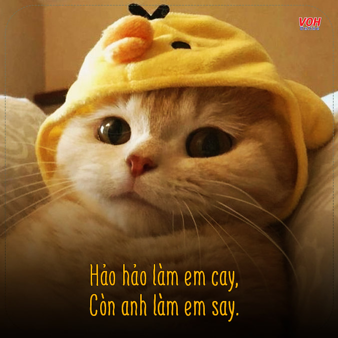 Thơ Tỏ Tình Hài Hước: Khi Lời Yêu Có Vị Ngọt Ngào Cùng Hài Hước Gallery 1