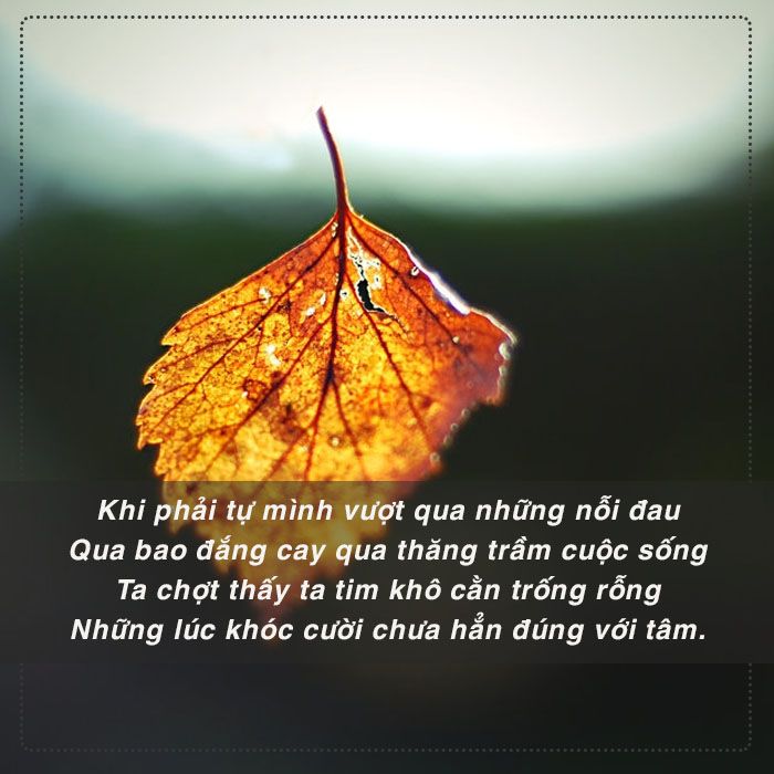 Thơ về Cuộc Sống Vô Thường: Chiêm Nghiệm Sự Biến Đổi Của Cuộc Đời Gallery 2
