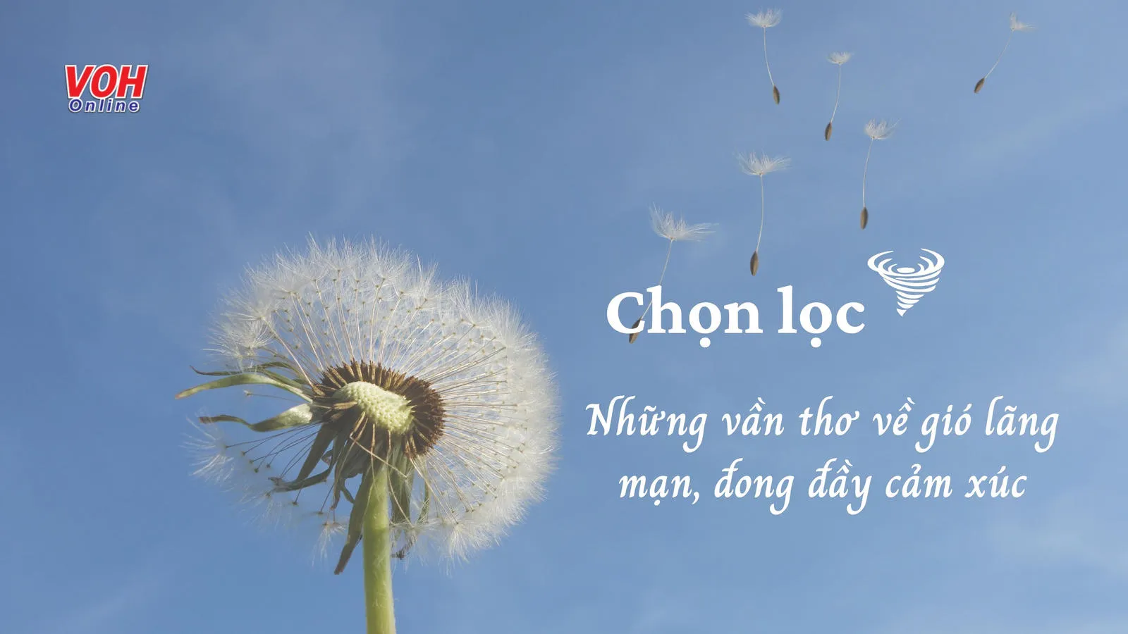 Thơ về Gió -  Hương Gió, Mùi Cuộc Sống Gallery 2