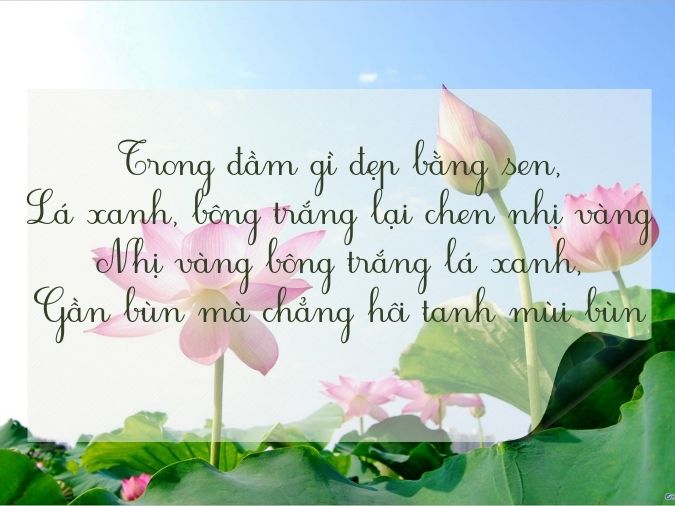 Thơ về Hoa Sen Ngắn Gallery 1