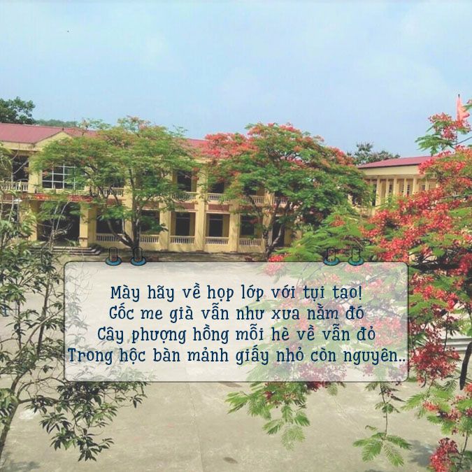 Những Bài Thơ Hay Về Họp Lớp Gallery 1
