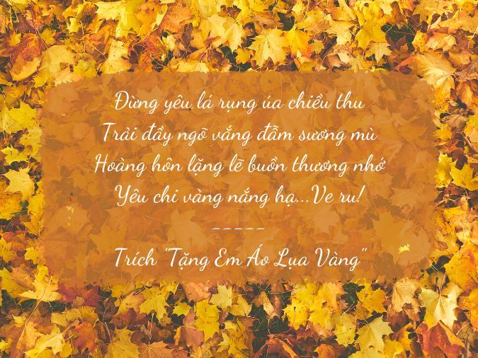 Thơ về Màu Vàng: Từ Ánh Dương Cho Đến Tâm Hồn Gallery 2
