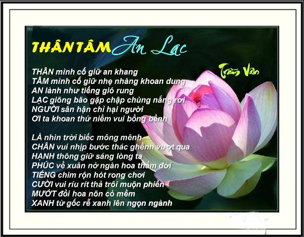 Thơ về Thân Tâm An Lạc Gallery 2