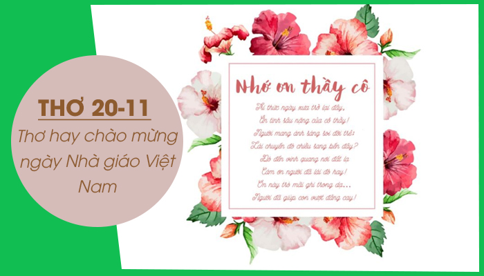 Thơ Về Tri Ân Thầy Cô: Lời Tri Ân Sâu Sắc Dành Cho Người Thầy Gallery 1