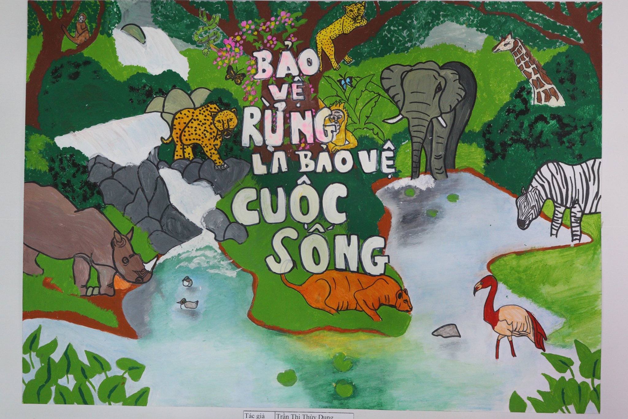 Tranh Cổ Động Bảo Vệ Rừng: Gửi Gắm Thông Điệp Xanh Gallery 2