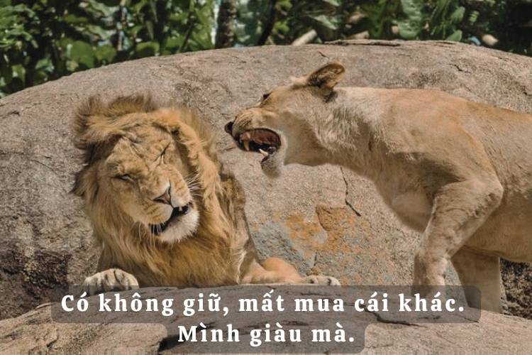 Những Trêu Đùa Hài Hước Làm Bạn Cười Ngặt Ngẽo Gallery 1