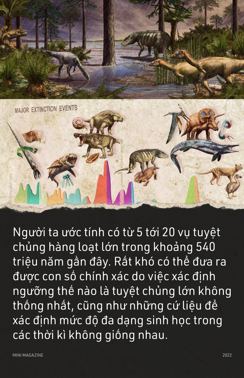 Tuyệt chủng là gì?