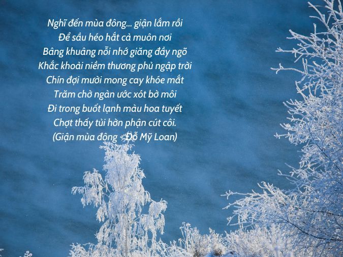 Thơ Tán Tuyết Gallery 2