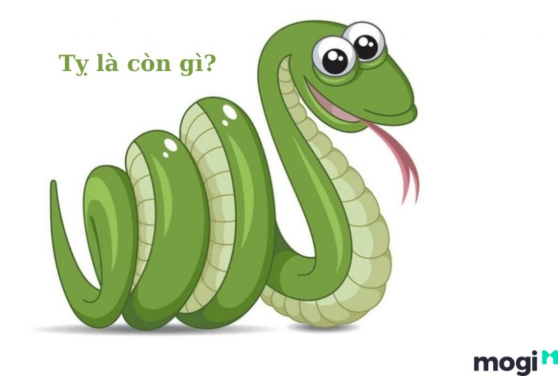 Ty Là Gì?
