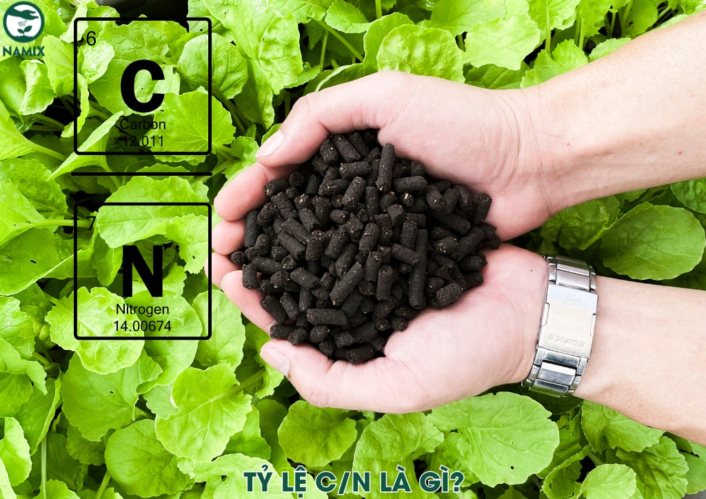 Tỷ lệ C/N là gì?