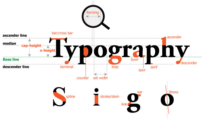Type chữ là gì?