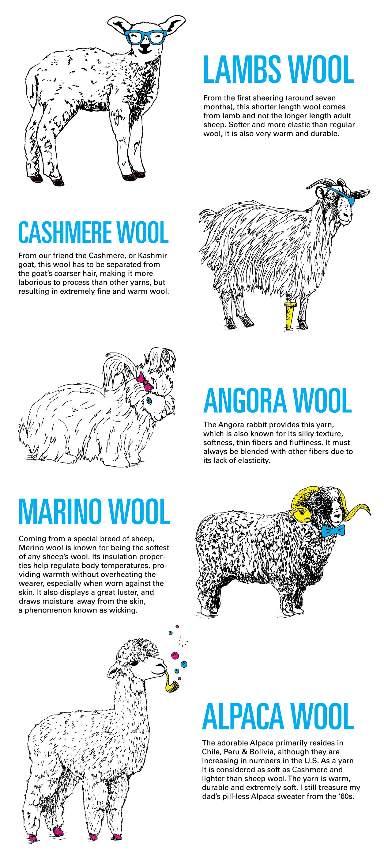 Sheep Wool: A Comprehensive Guide Gallery 1
