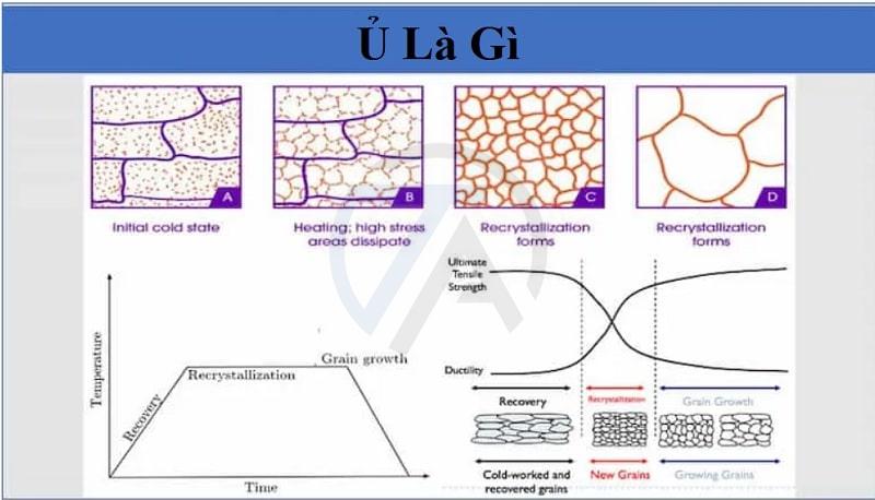 Ủ là gì?