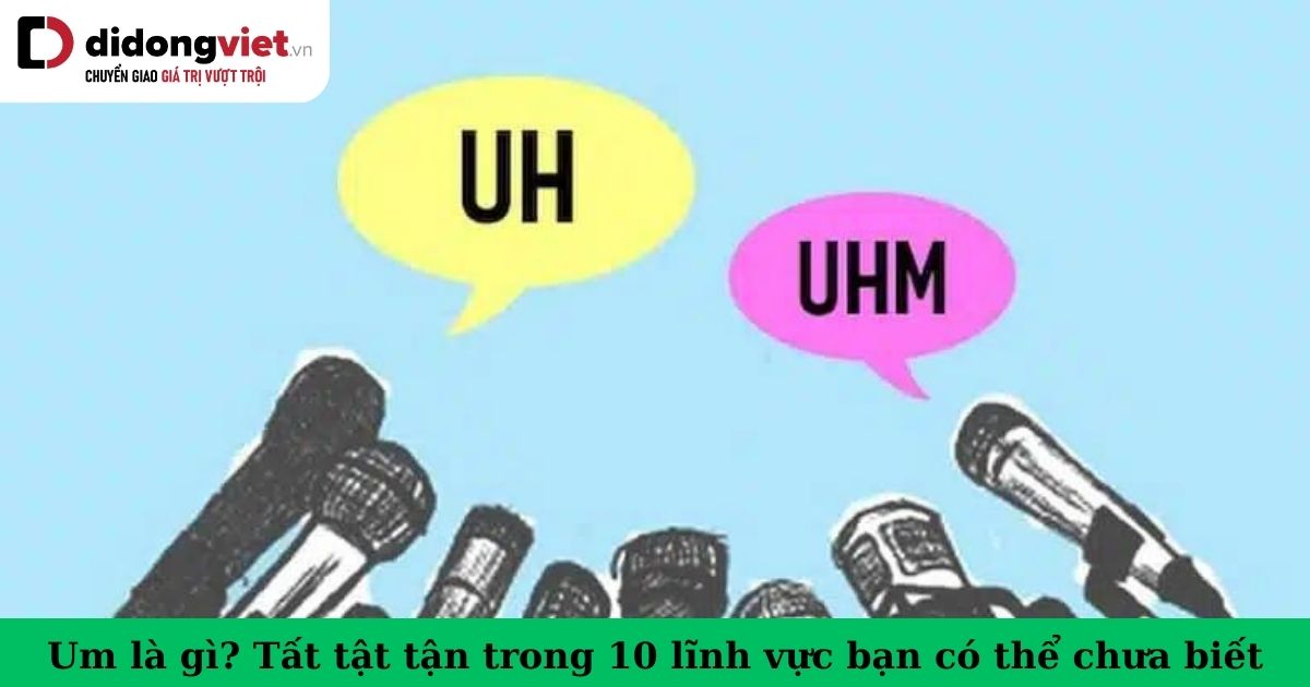 UM nghĩa là gì? Gallery 2