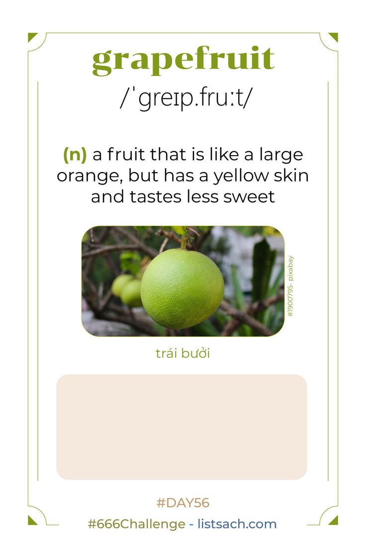 Vietnamese Pomelo in English Gallery 1