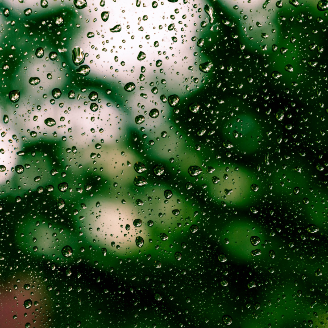 What is Drizzle in English? Gallery 1