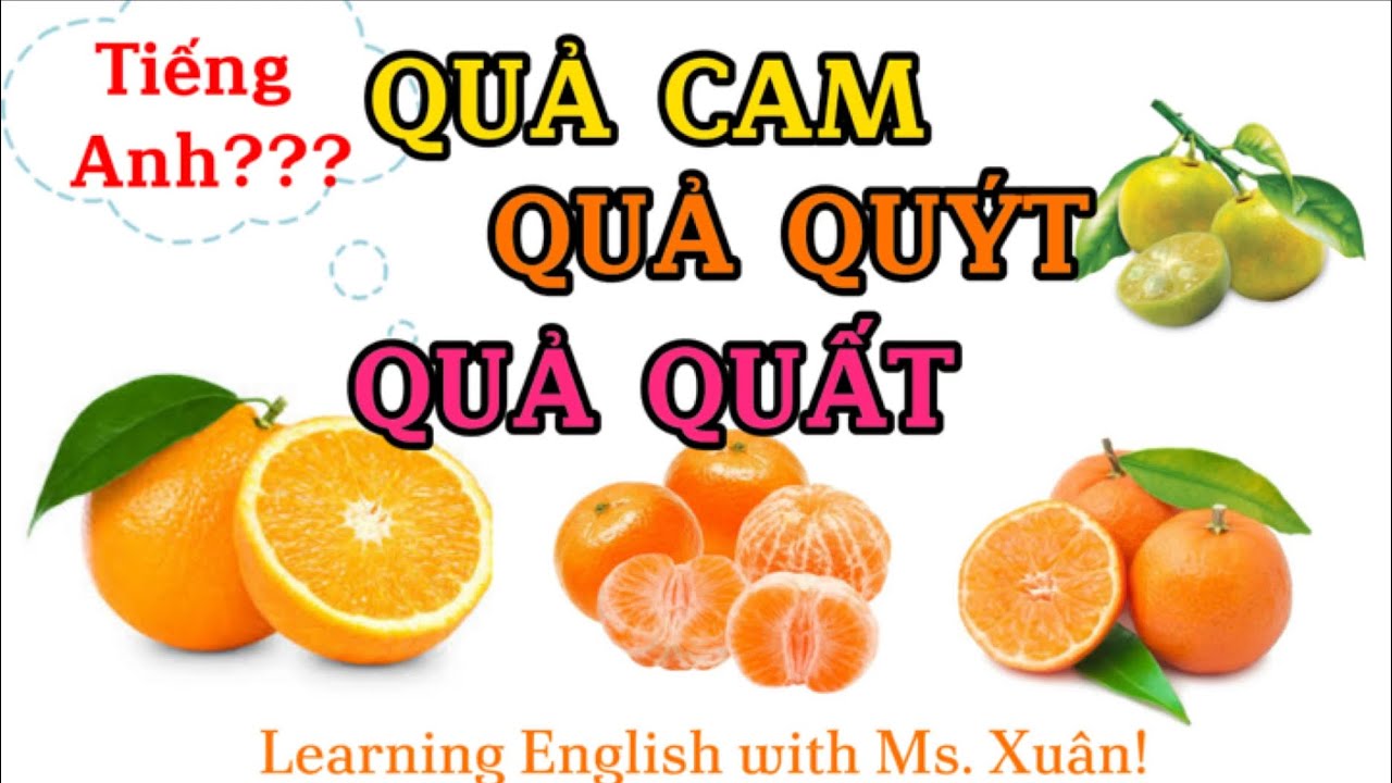What is a Kumquat in English? Gallery 1