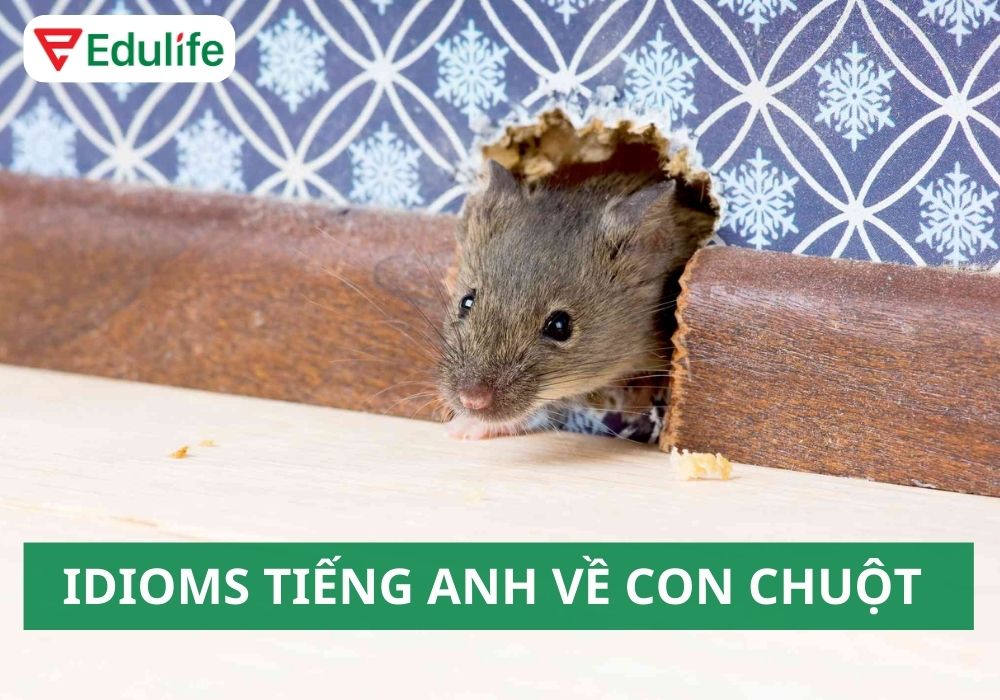 Many Mice in English Gallery 1