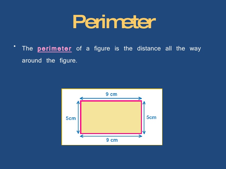 Perimeter in English Gallery 1