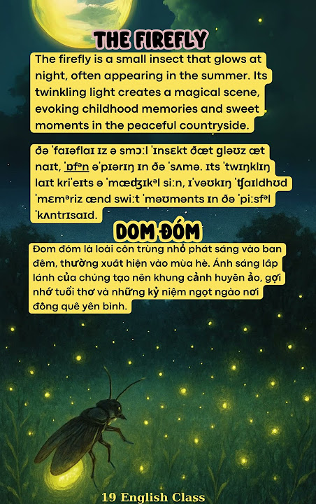 What is a Firefly in English? Gallery 2
