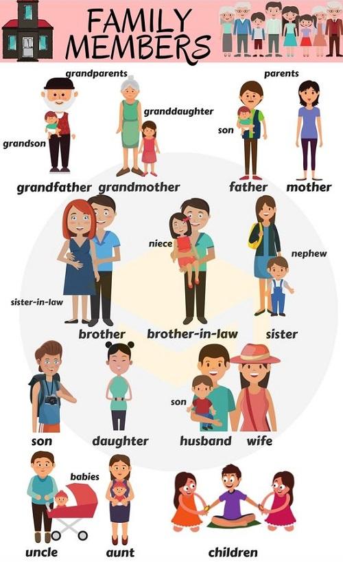 What is a Nephew? Gallery 1