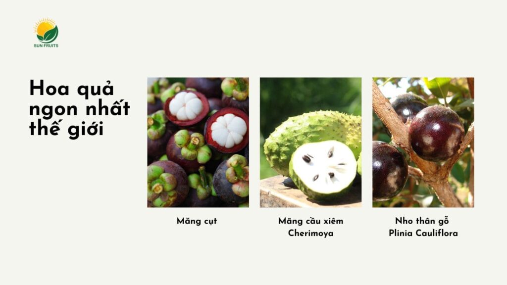 Trái Cây Ngon Nhất Thế Giới Gallery 2
