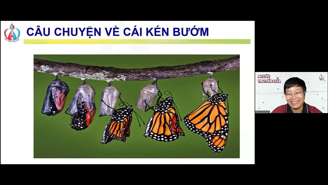 Câu chuyện cảm động về cái kén bướm: Sự nỗ lực và trưởng thành Gallery 2