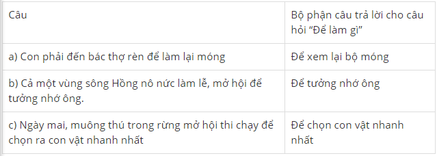 Hỏi Làm Gì? Gallery 2