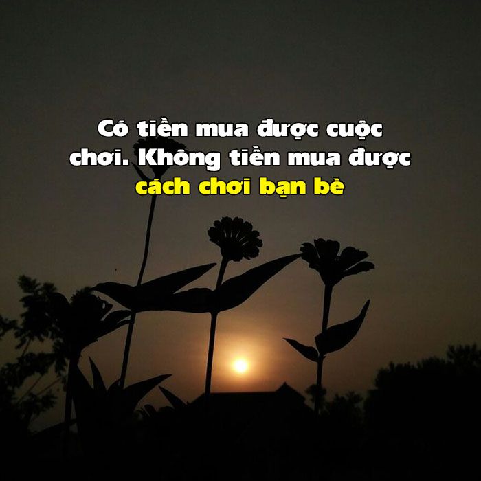 Những Câu Nói Châm Biếm Hay Nhất, Đắt Giá Nhất Gallery 2
