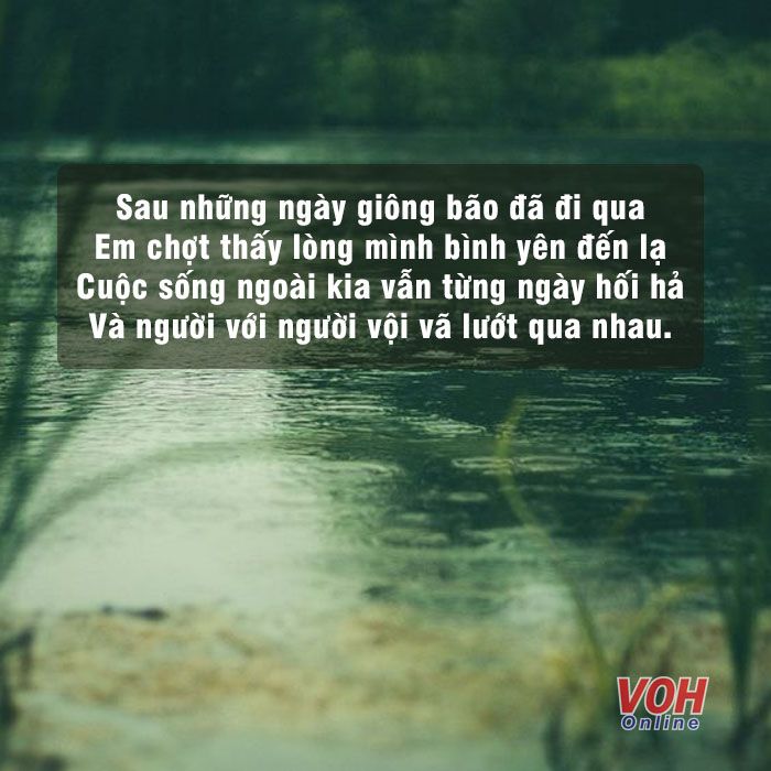 Dù đời này bao nhiêu bão giông Gallery 2