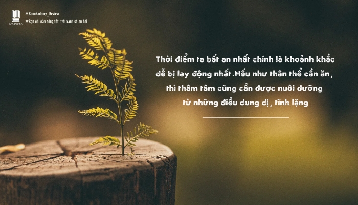 Trời xanh ắt sẽ an bài Gallery 2