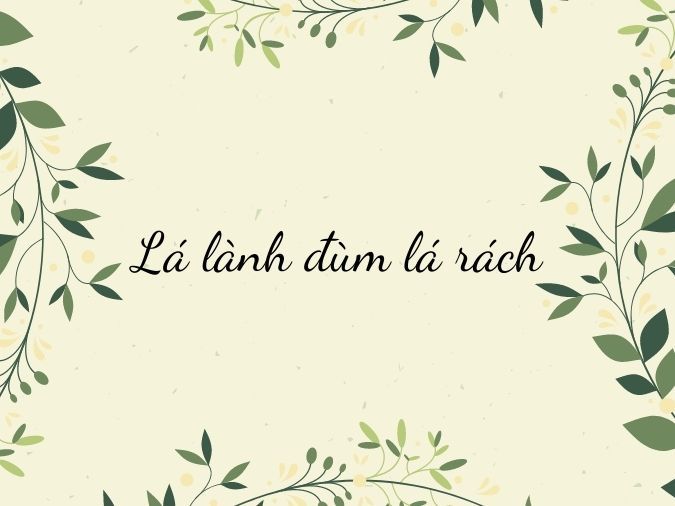 Giải thích câu tục ngữ Lá lành đùm lá rách Gallery 2