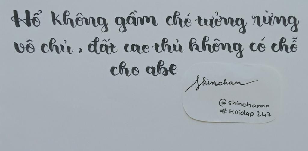 Hổ không gầm chó tưởng rừng xanh vô chủ Gallery 2