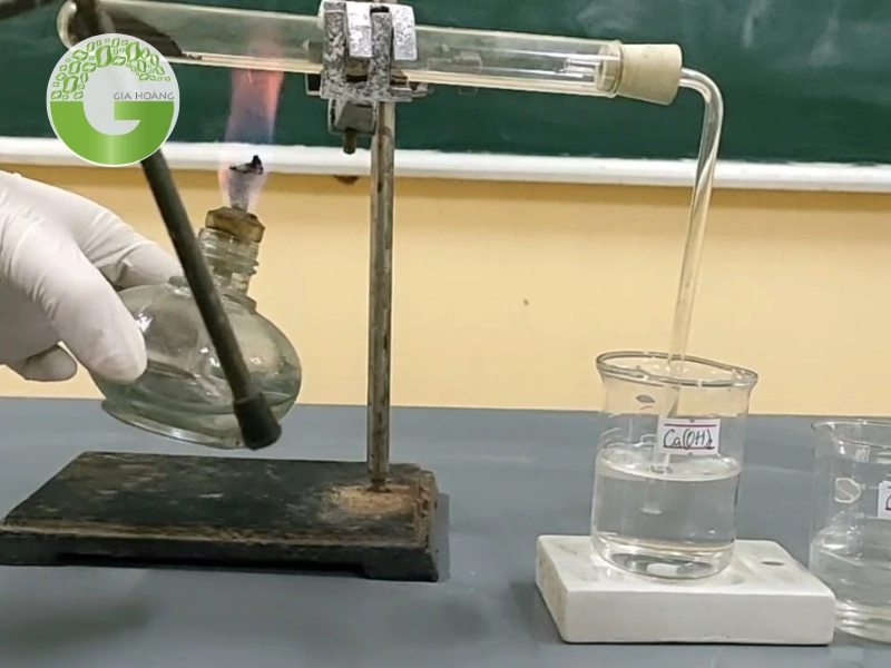 CO2 dư + Ca(OH)2: Phản ứng và sản phẩm Gallery 2