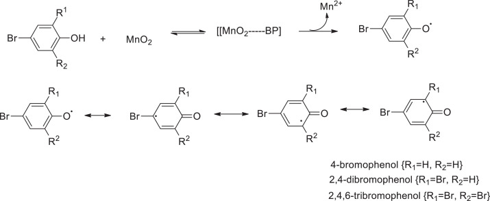 2,4,6-Tribromphenol Gallery 2