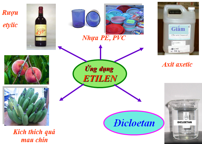 Anken còn được gọi là gì? Gallery 2
