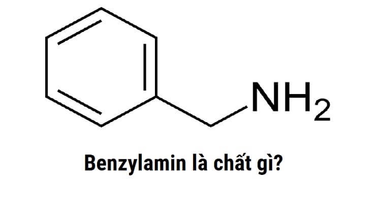 Benzylamin là gì? Tính chất, ứng dụng và an toàn Gallery 2