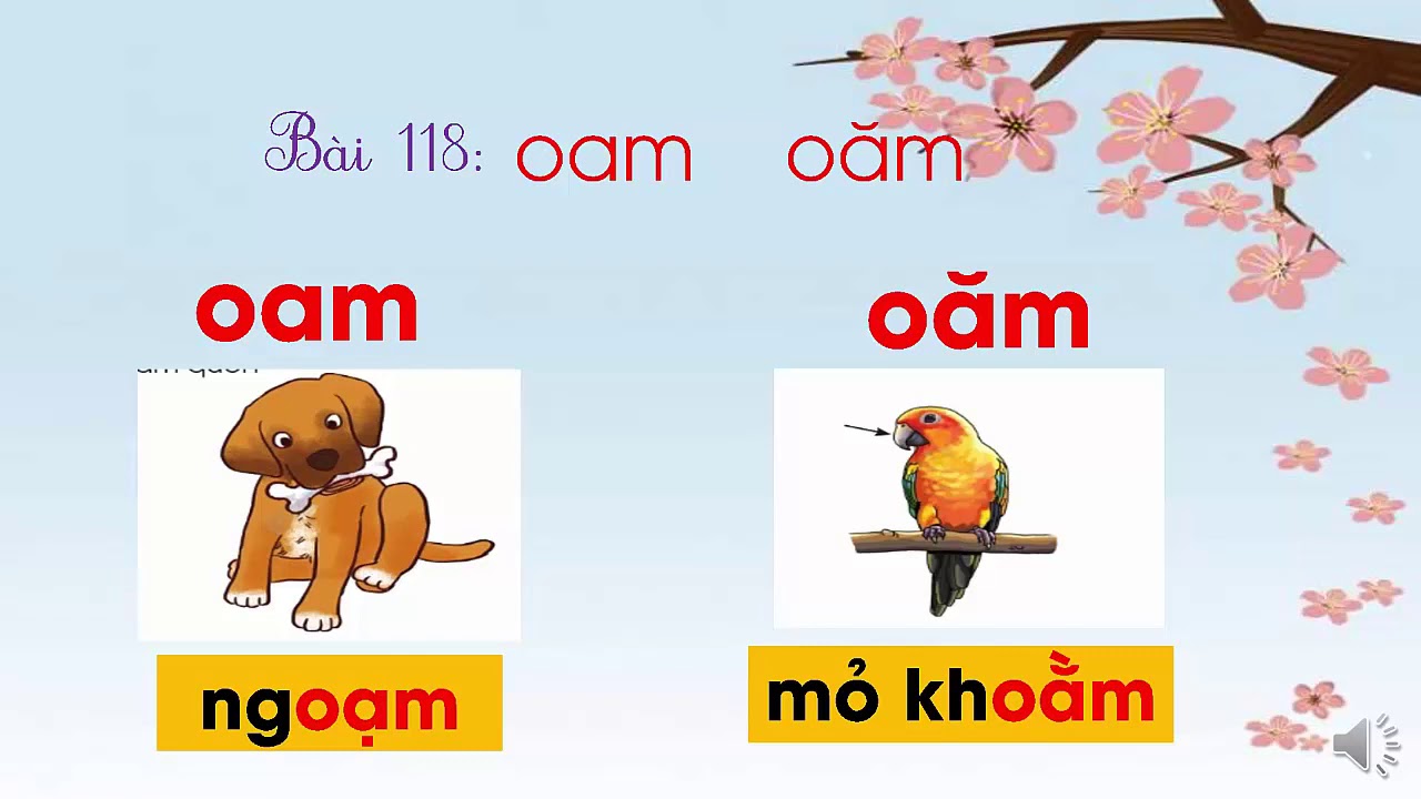 Tiếng Có Vần Oăm Gallery 2