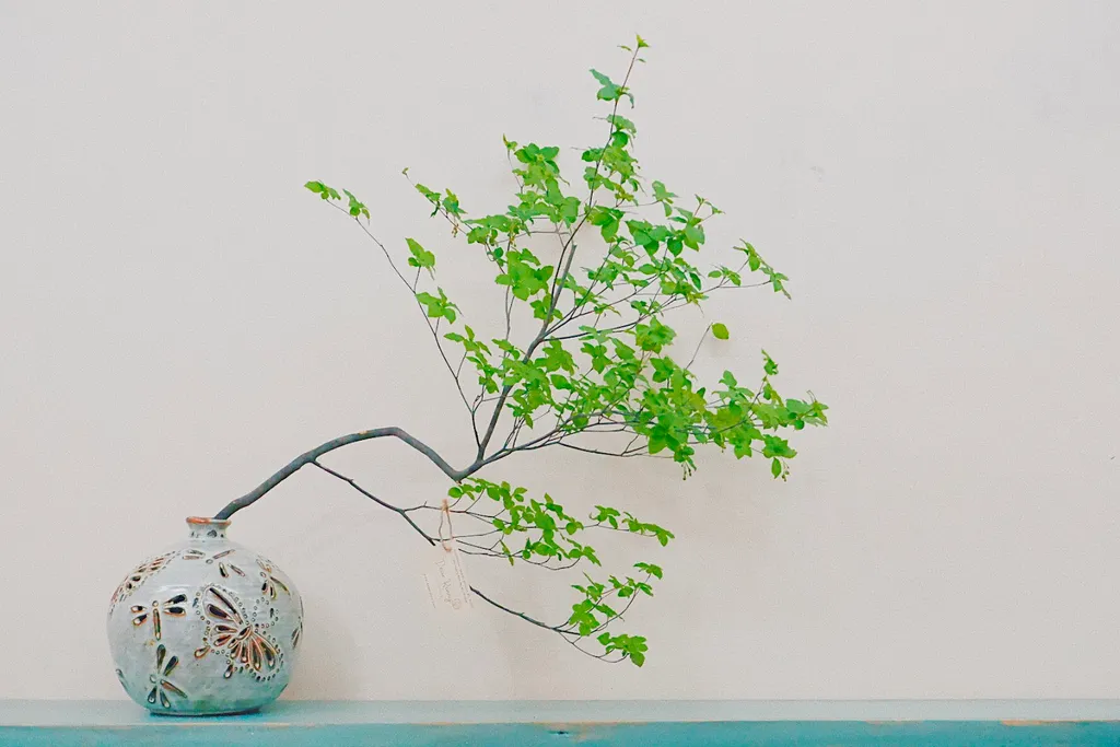 Cành Thạch Nam Tươi Gallery 1