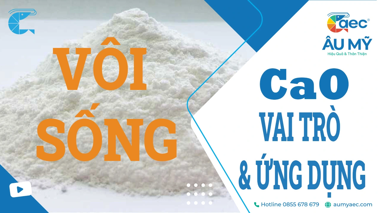 CaCO3 tạo thành cao Gallery 2