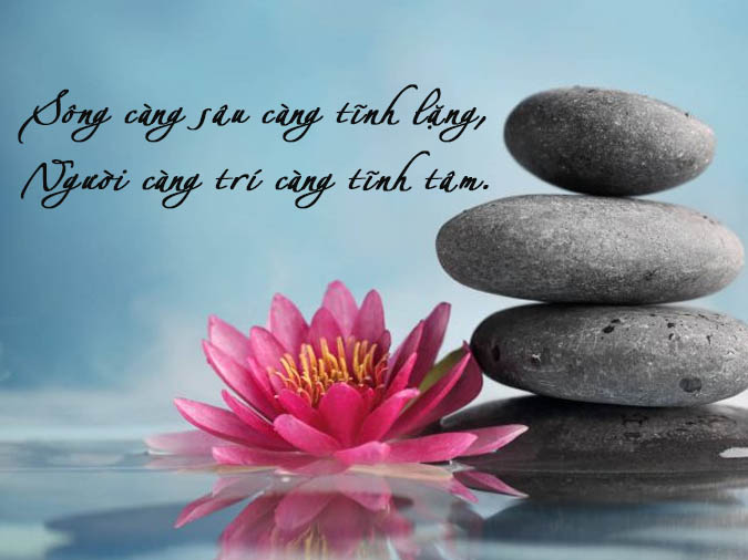 Sông sâu tĩnh lặng lúa chín cúi đầu là gì? Gallery 2