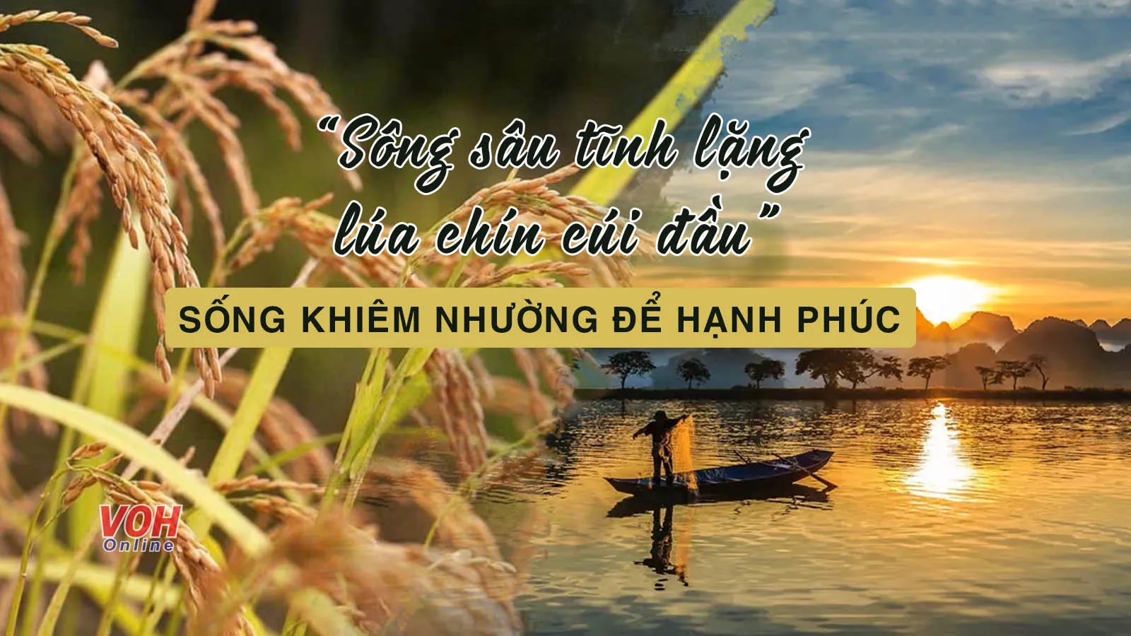 Lúa chín cúi đầu nghĩa là gì? Gallery 2