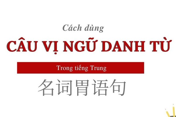 Câu Vị Ngữ Danh Từ Trong Tiếng Trung Gallery 2