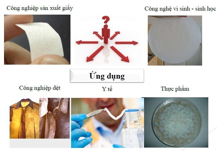 Cellulose có ở đâu? Gallery 2