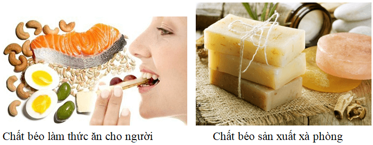 Ứng dụng của chất béo trong cuộc sống